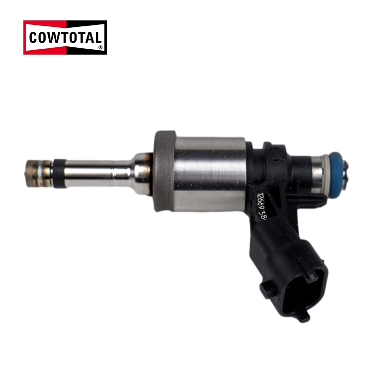 Fuel Injector For CHEVROLET BUICK 12669384 (1)