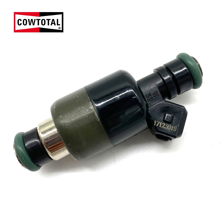 Fuel Injector For CHEVROLET 17123919 (1)