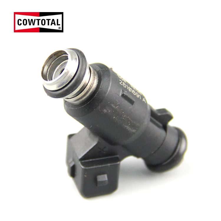 Fuel Injector For GEELY 28101891A (1)