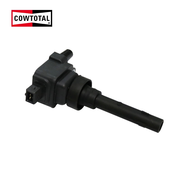 Ignition Coil For CHERY F01R00A041 (1)
