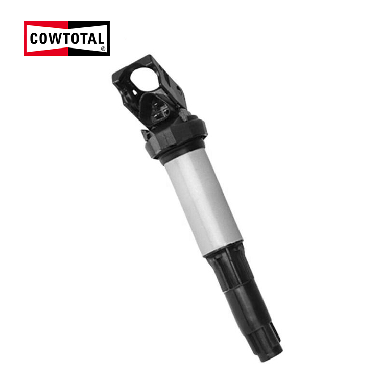 Bobina de ignição para BMW 0221504100 (1)