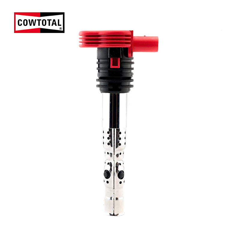 Ignition Coil For Audi 06B905115R (2)