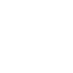 15+多年出口经验