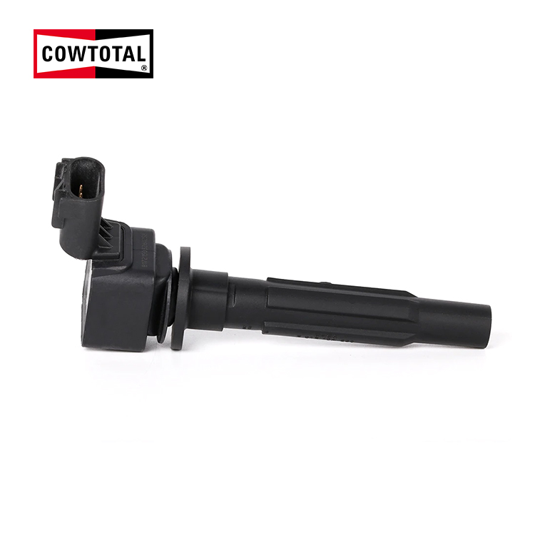 Ignition Coil For BUICK CHEVROLET F01R00A081 (1)