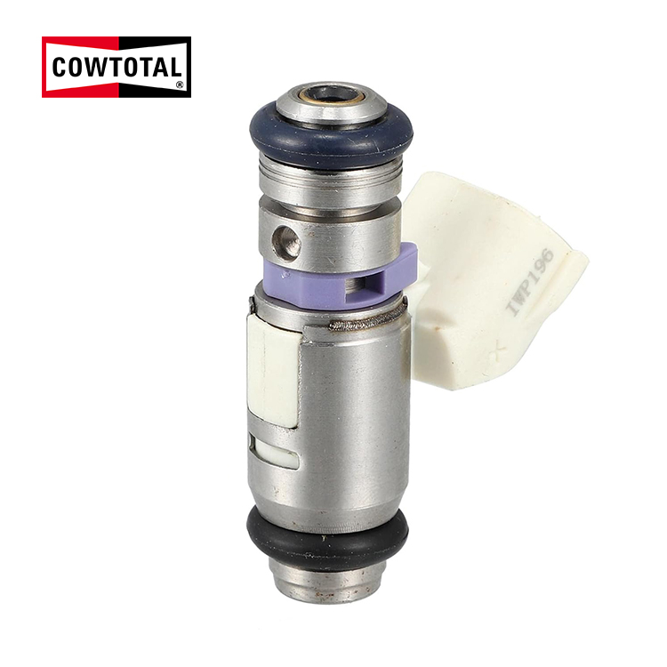 Fuel Injector For VW SEAT SKODA IWP196 (1)