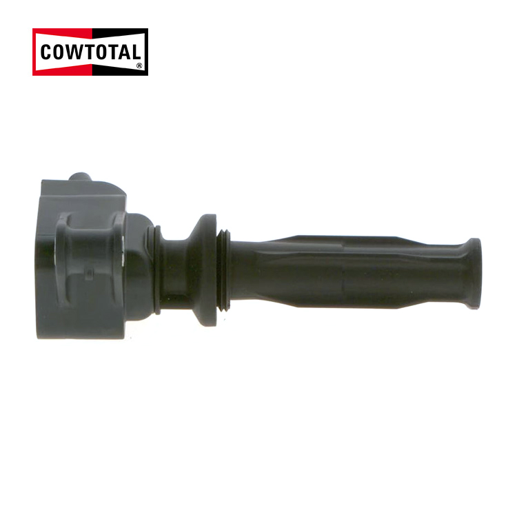 Ignition Coil For VOLVO 0281005862 (4)