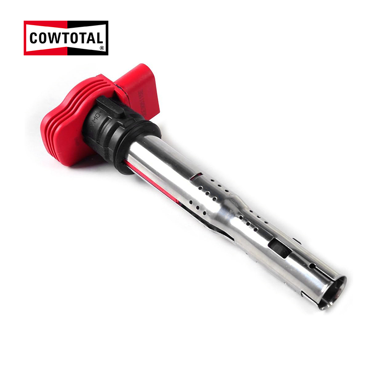 Ignition Coil For AUDI 06E905115D (1)