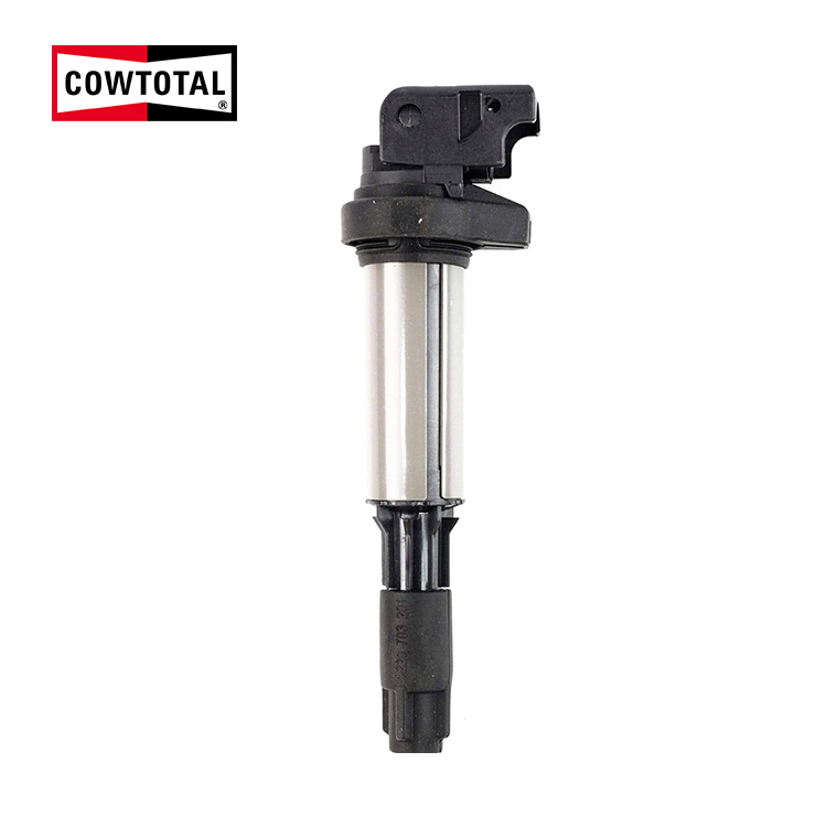 Ignition Coil For BMW BMW (БЛЕСКОСТЬ) 12131712219 (1)