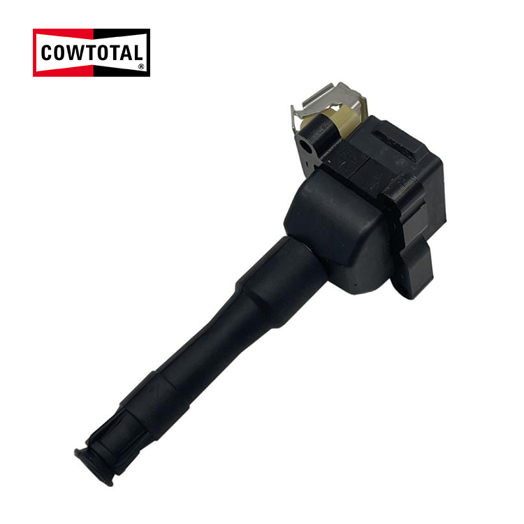 Ignition Coil For BMW 12139066468 (5)