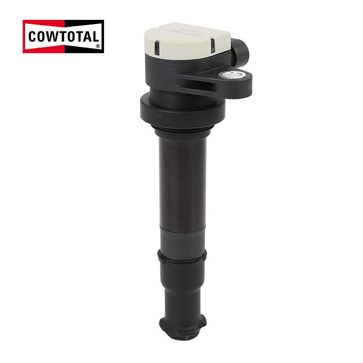 Ignition Coil For Renault Samsung 17210-14900 (3)