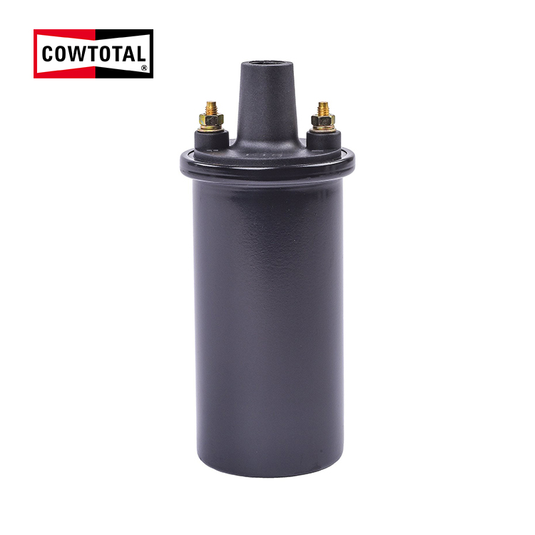 Ignition Coil For ALFA ROMEO FIAT FORD PUMA RENAULT VW 9220081054 (1)