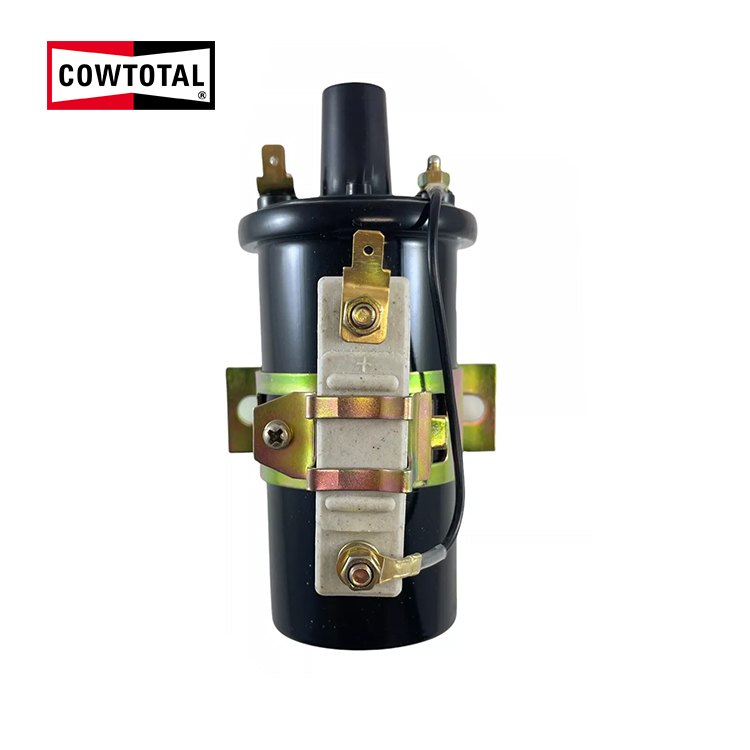 Bobine d'allumage pour ALFA ROMEO DACIA FIAT FSO LANCIA LAND ROVER MERCEDES-BENZ PEUGEOT RENAULT SEAT TALBOT ZASTAVA C1Z-500 (1)