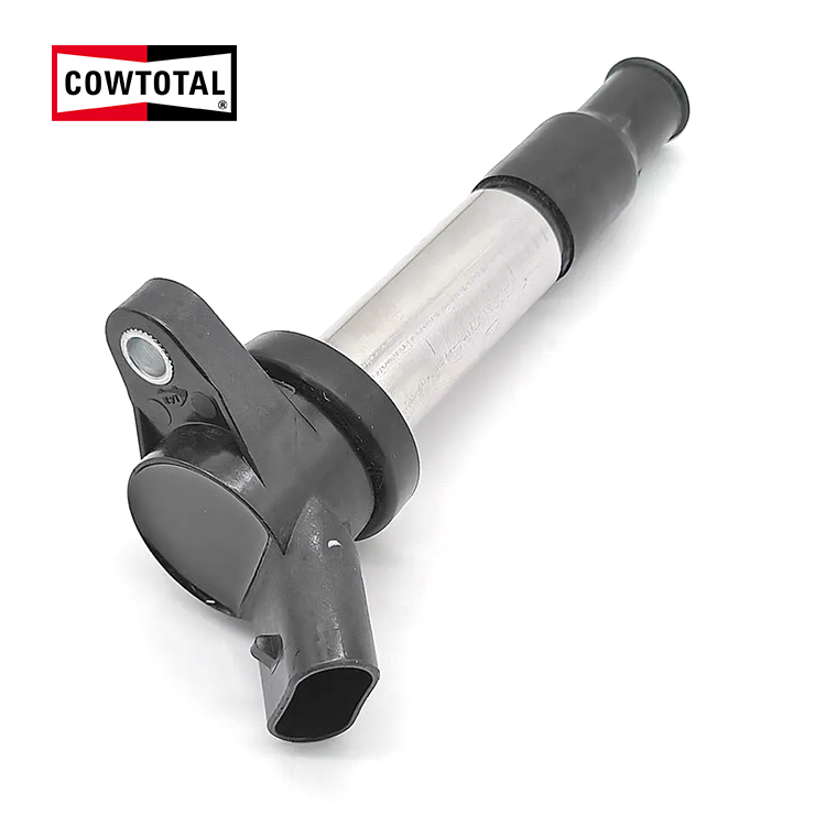 Ignition Coil For CHANGHE M50 DQG1930NN (1)