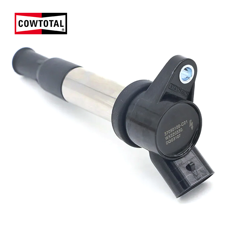 Ignition Coil For BAIC M20 DQG3107 (1)