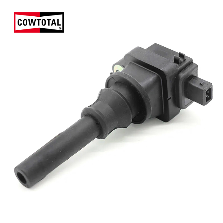 Ignition Coil For GEELY EMGRAND F01R00A010 (1)