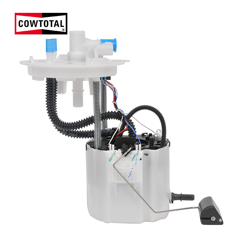 Kraftstoffpumpenbaugruppe für CHEVROLET 813026069 (1)