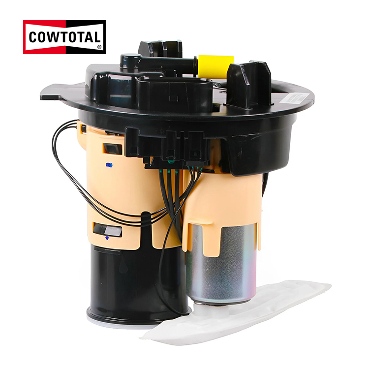 Fuel Pump Assembly For MERCEDES-BENZ S-CLASS A2224700094/2224700094 (1)