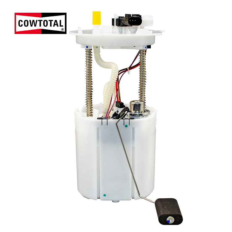 Fuel Pump Assembly For Chevrolet EM10052 A2C53139516 (4)