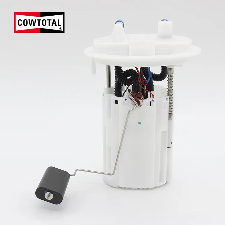 Fuel Pump Assembly For CITROEN F01R00S067 (3)