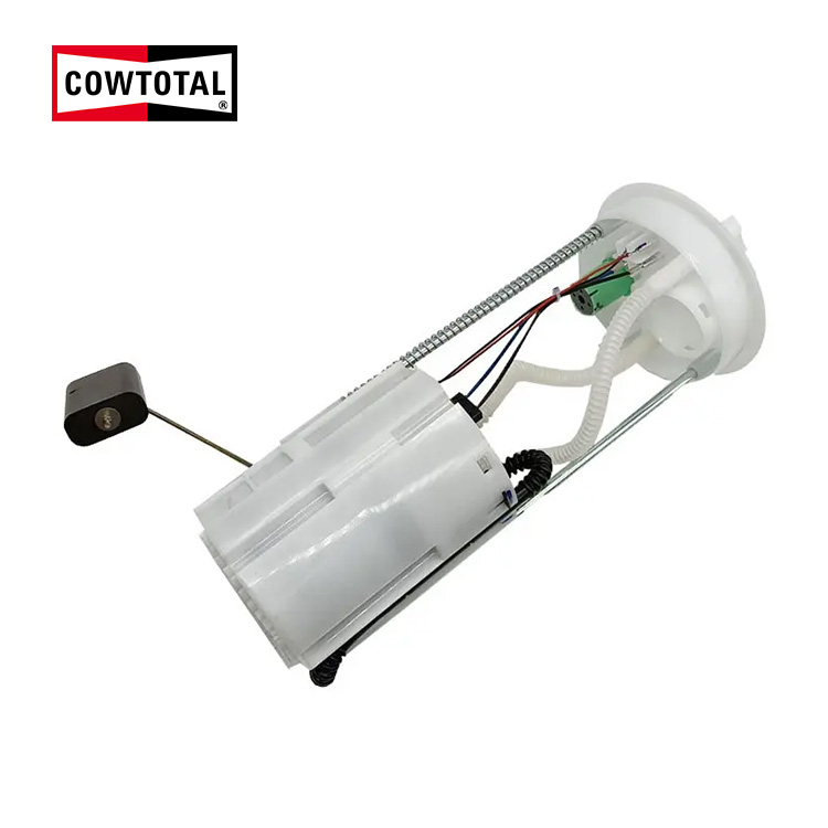 Fuel Pump Assembly For Geely 1016002550 (3)