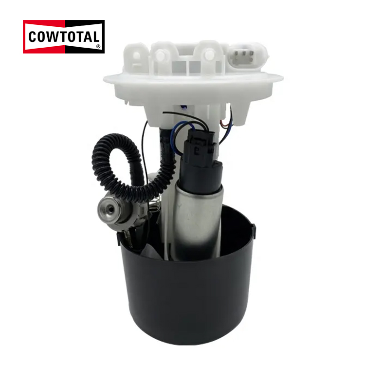 Fuel Pump Assembly For RENAULT 820052605 (1)