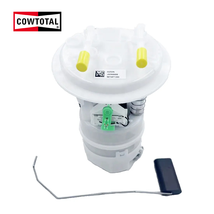 标致燃油泵总成 9674971380 (1)