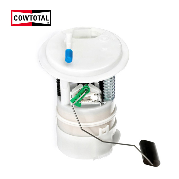 Ensemble de pompe à carburant pour CITROEN PEUGEOT 9687218480 (1)