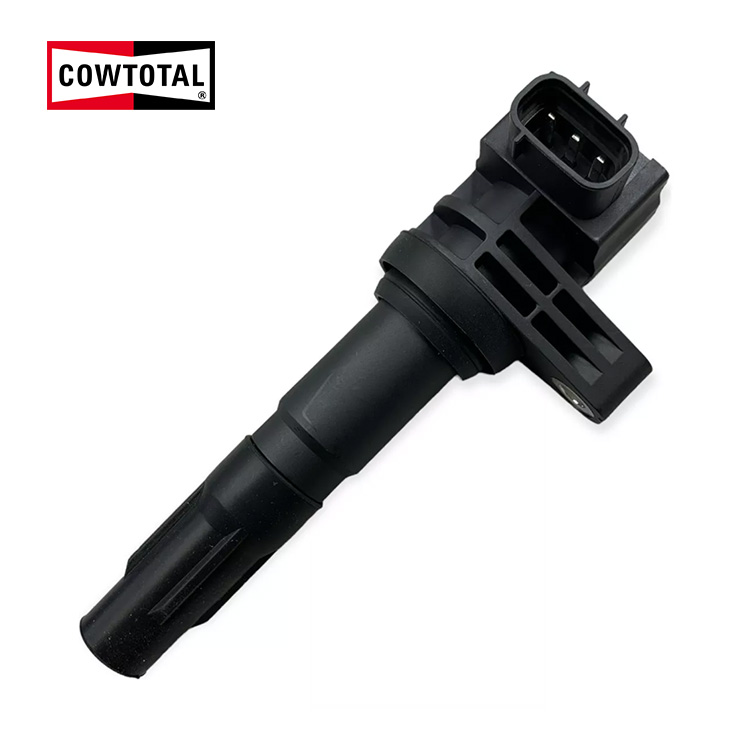 Ignition Coil For BYD 473QB (1)