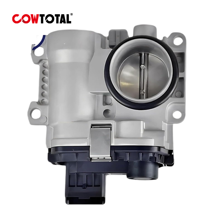 Throttle Body 8200067219 For RENAULT (1)