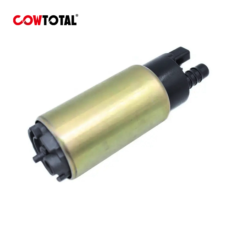 Fuel Pump 0580453481 For VW (5)