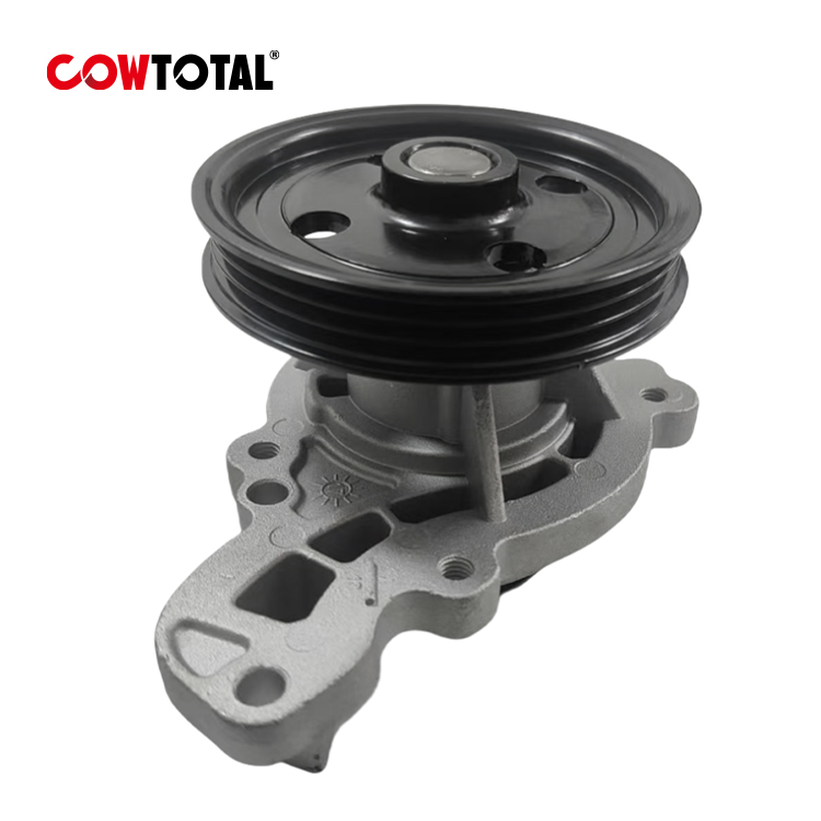 Engine Water Pump 24110343 For CHEVROLET (1)