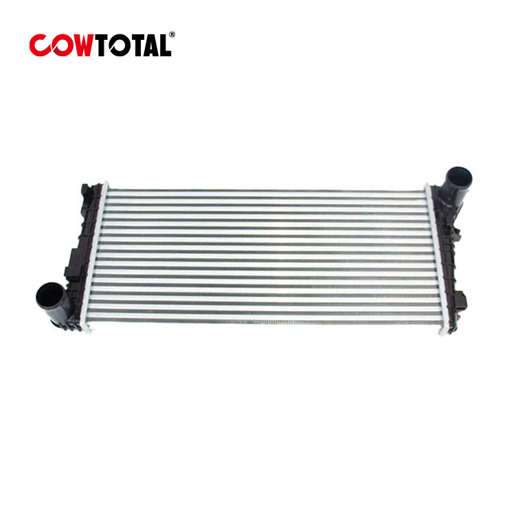 Car Radiators 1119100V5070 For MOSKVICH (4)