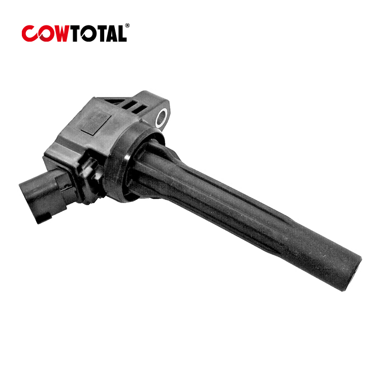 Ignition Coil 19500-B1050 For TOYOTA RAIZE (1)