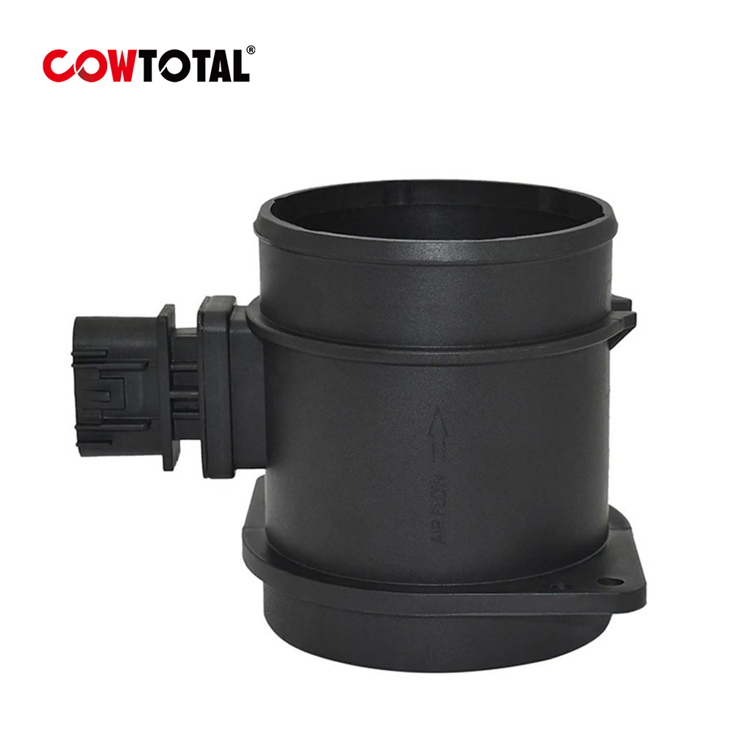 Mass Air Flow Sensor 0280218219 For Chevrolet  (1)
