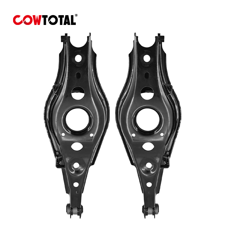 Steuerarm 48740-42020 Für Toyota Rav4 (1)