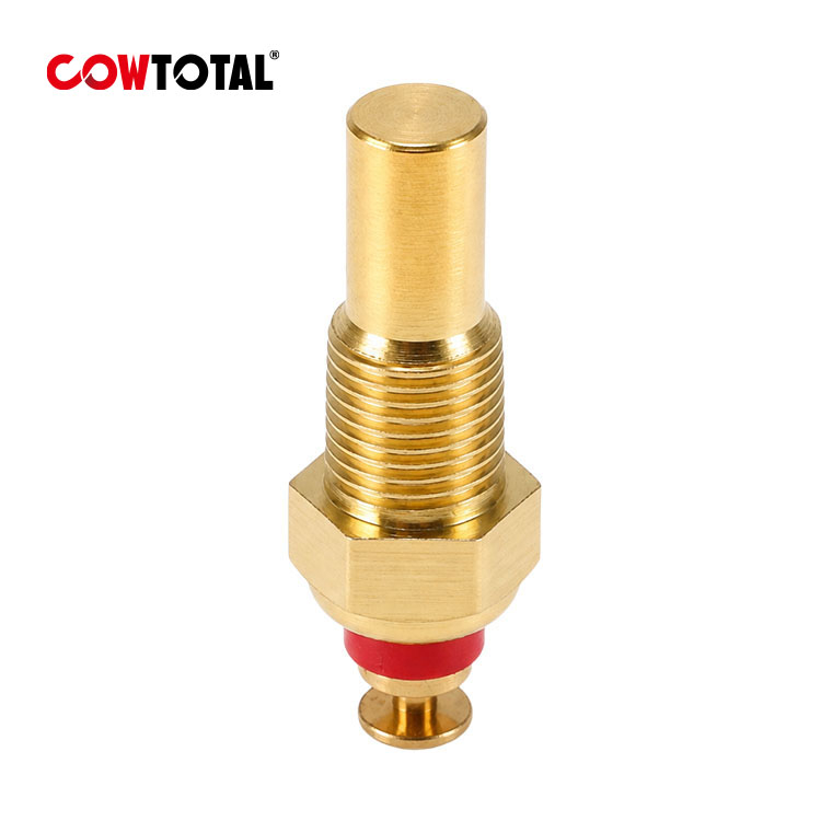 Coolant Temperature Sensor 96177604 For Daewoo Chevrolet (1)