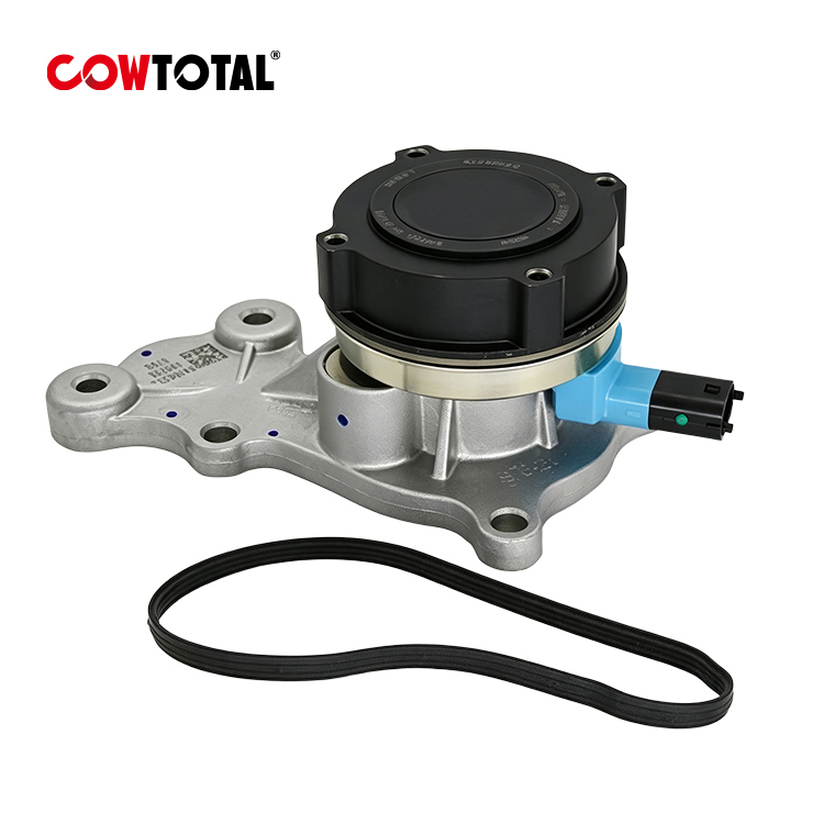 Engine Water Pump 24106272 For CHEVROLET (1)